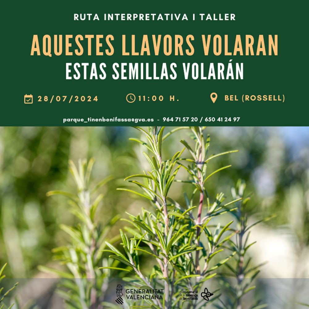 Ruta interpretativa i taller: Aquestes llavors volaran