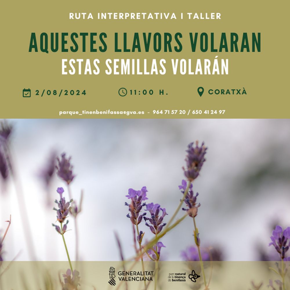 Ruta interpretativa i taller: Aquestes llavors volaran