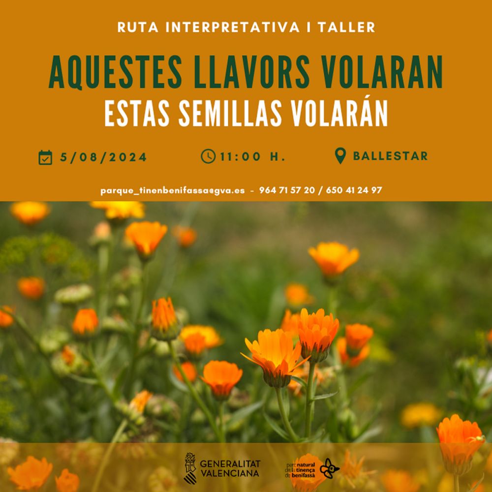 Ruta interpretativa i taller: Aquestes llavors volaran