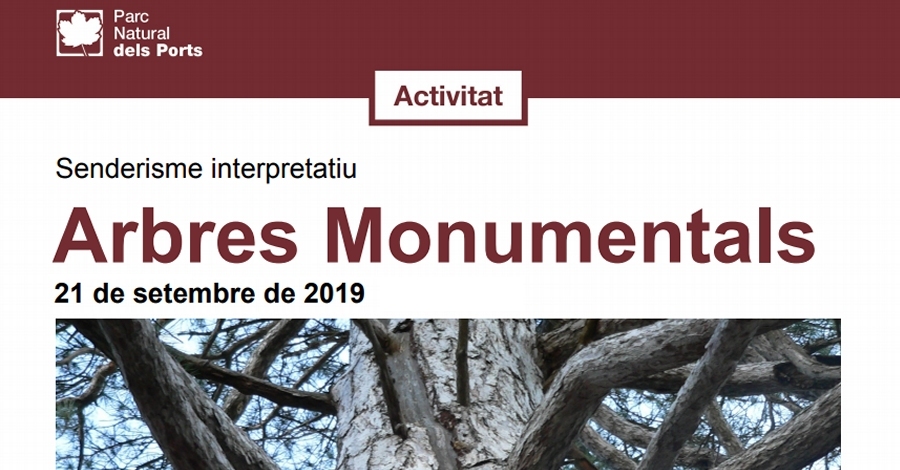 Senderismo interpretativo: rboles Monumentales de la Terra Alta