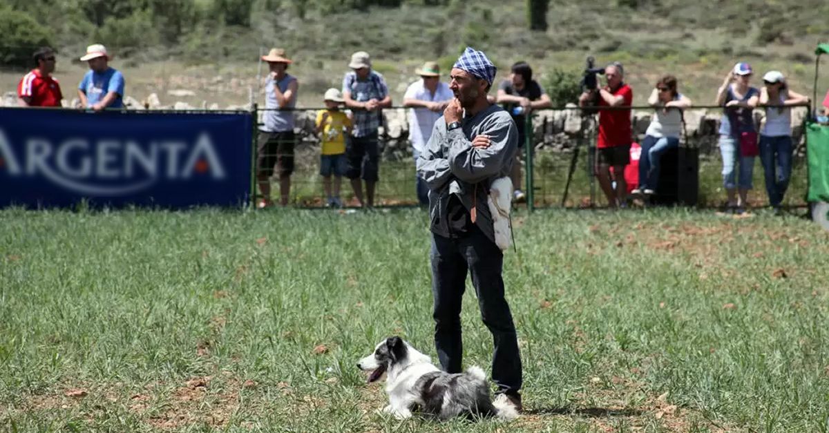 Els gossos de rabera d’Ares i la Rogativa a Sant Joan de Culla copen els focus del cap de setmana al territori Human Land | EbreActiu.cat, revista digital d’oci actiu | Terres de l’Ebre ...