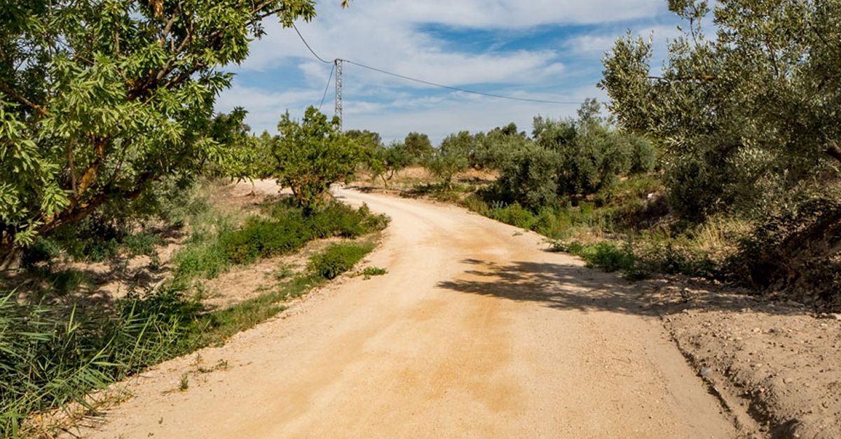 Finalitzat l’arranjament del GR-99 al seu pas per la Reserva Natural de Sebes | EbreActiu.cat, revista digital d’oci actiu | Terres de l’Ebre ...