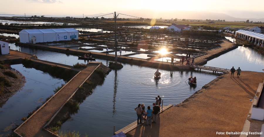 Arriba la 5a edici del Delta Birding Festival, l’nic festival d’ornitologia de Catalunya | EbreActiu.cat, revista digital d’oci actiu | Terres de l’Ebre ...