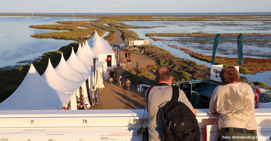 Arriba la 5a edici del Delta Birding Festival, l’nic festival d’ornitologia de Catalunya | EbreActiu.cat, revista digital d’oci actiu | Terres de l’Ebre ...