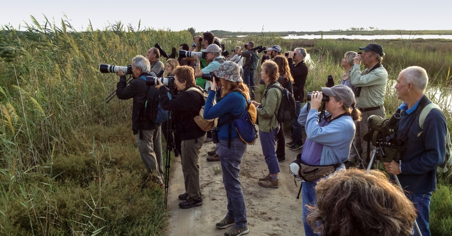 Arriba una nova edici del Delta Birding Festival, la fira ornitolgica ms important del Mediterrani | EbreActiu.cat, revista digital d’oci actiu | Terres de l’Ebre ...