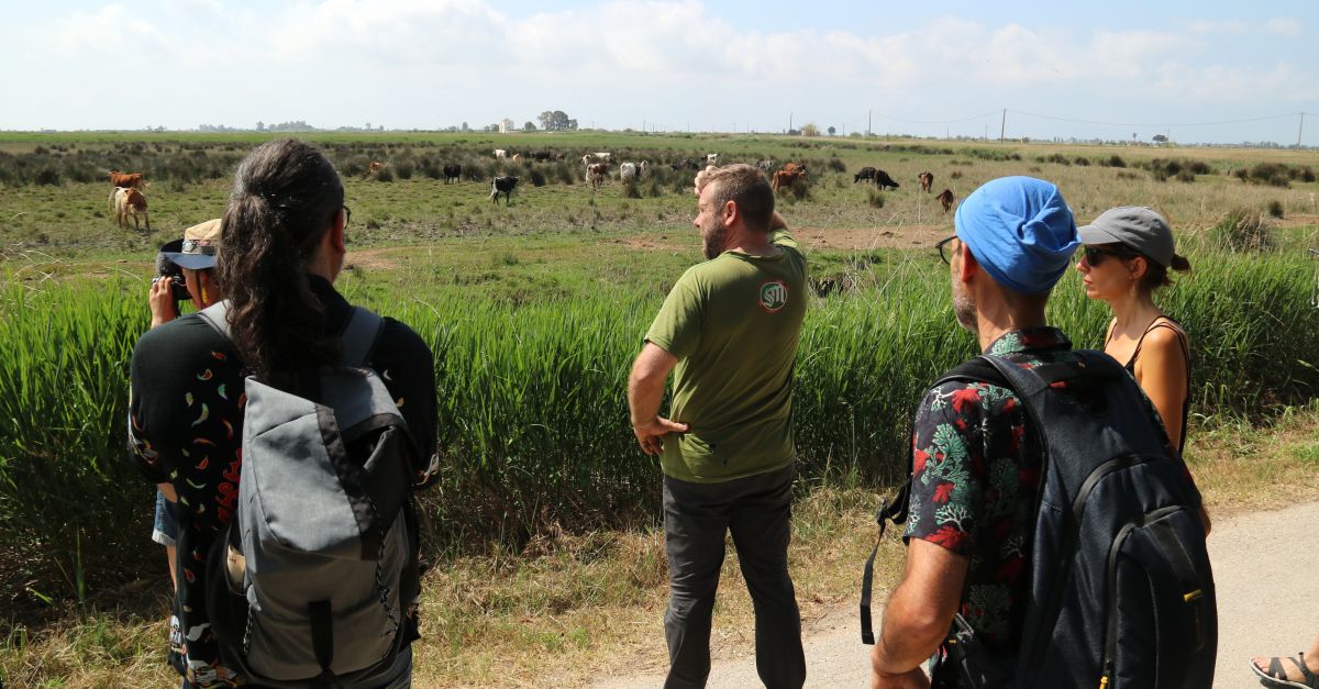 Set artistes conviuen amb bous i pastors als Ports, l’Ebre i el Delta per inspirar futures creacions | EbreActiu.cat, revista digital d’oci actiu | Terres de l’Ebre ...