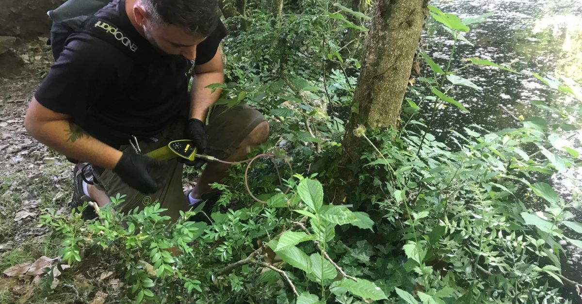 Un assaig teraputic podria preservar els boixos d’alt valor natural i cultural dels atacs de la papallona del boix | EbreActiu.cat, revista digital d’oci actiu | Terres de l’Ebre ...