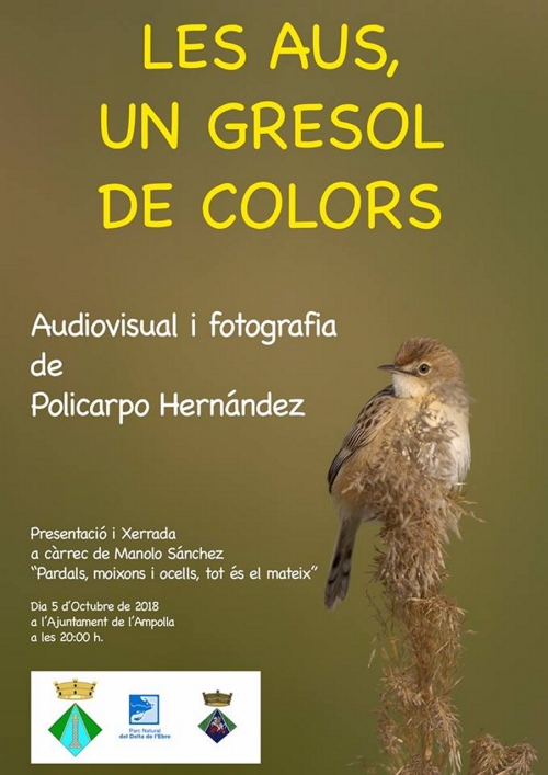 Les aus, un gresol de colors