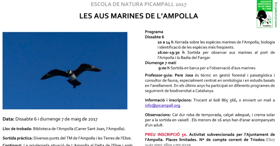 Les aus marines de lAmpolla