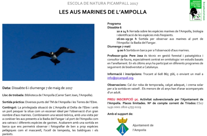 Les aus marines de lAmpolla