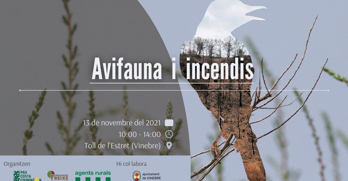 Jornada danellament cientfic: Avifauna i incendis