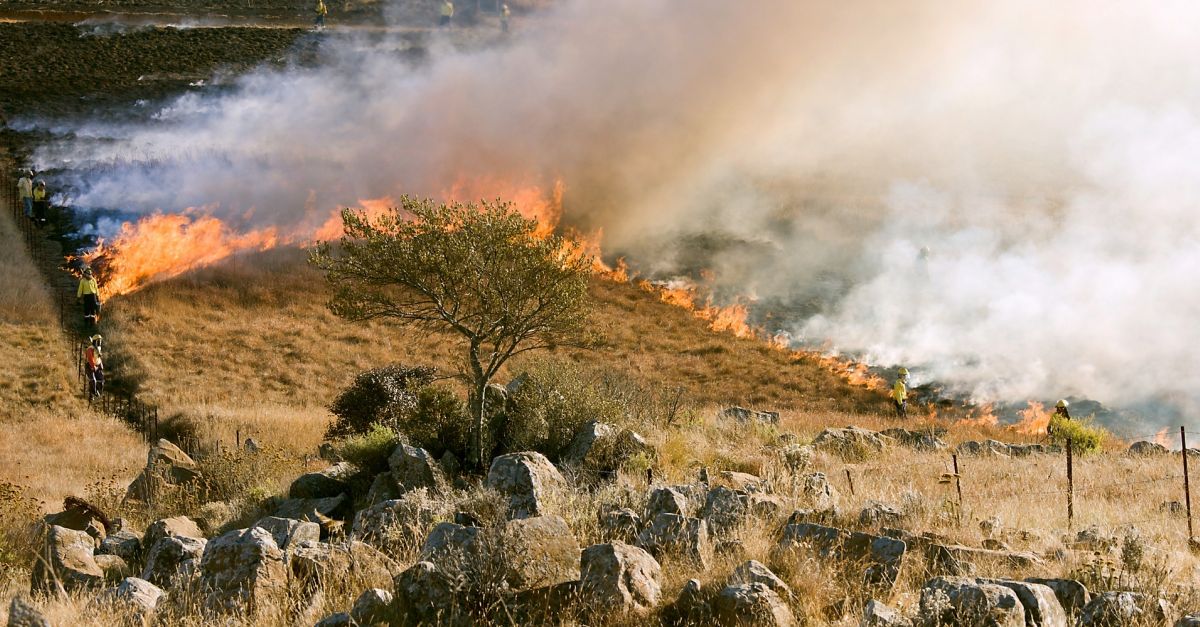 Avui comena la prohibici de fer foc al bosc | EbreActiu.cat, revista digital d’oci actiu | Terres de l’Ebre ...