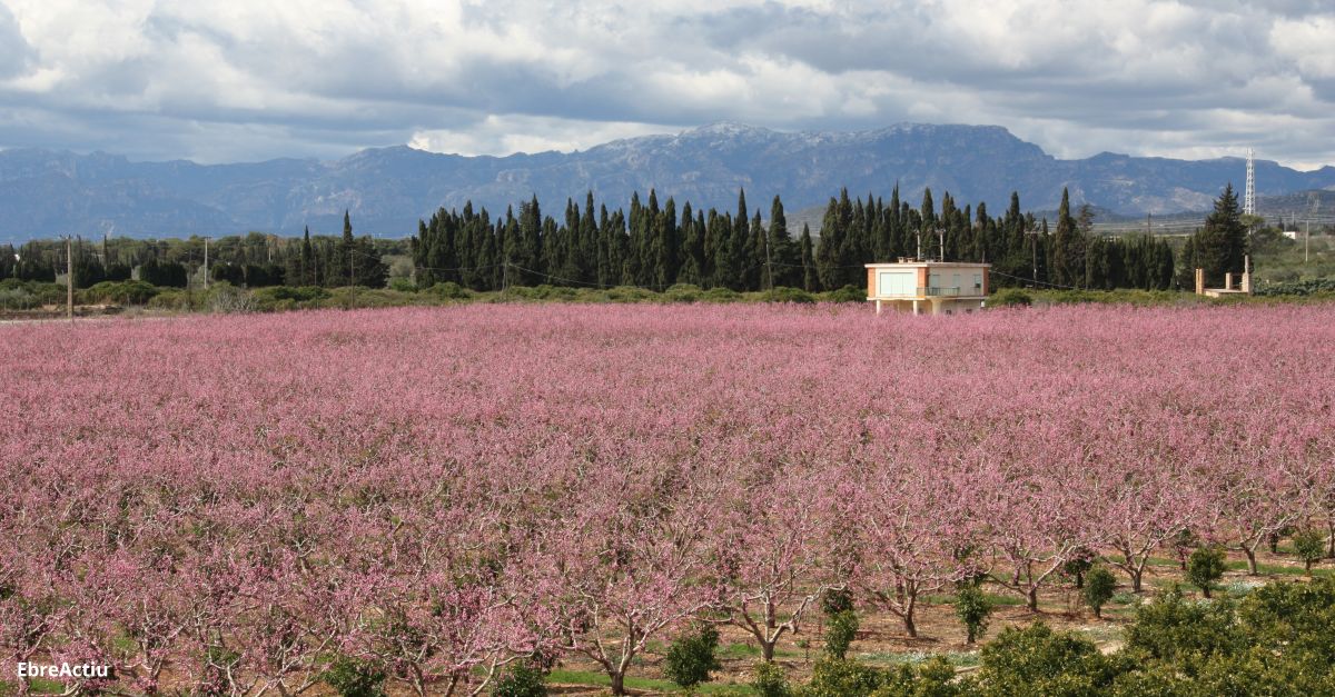 La Declaraci Agrria DUN 2022 es posa en marxa | EbreActiu.cat, revista digital d’oci actiu | Terres de l’Ebre ...