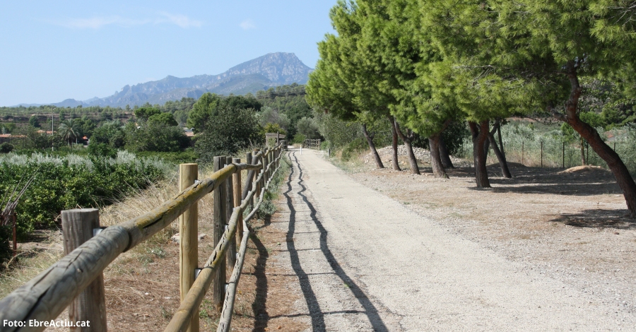 Baix Ebre Avant assessorar empreses turstiques per consolidar el cicloturisme a les Terres de l’Ebre | EbreActiu.cat, revista digital d’oci actiu | Terres de l’Ebre ...