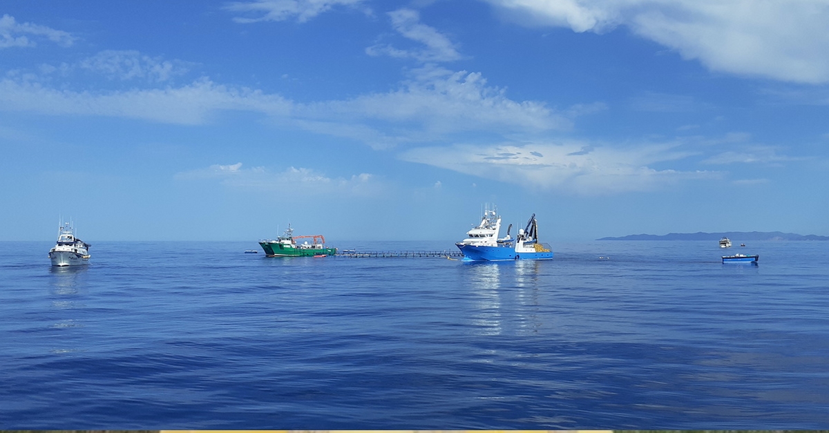 Balfeg finalitza la campanya de captura de 2.410 tones de tonyina en sis dies | EbreActiu.cat, revista digital d’oci actiu | Terres de l’Ebre ...