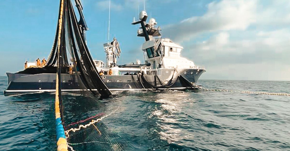 Balfeg inicia la campanya anual de pesca de tonyina roja  | EbreActiu.cat, revista digital d’oci actiu | Terres de l’Ebre ...