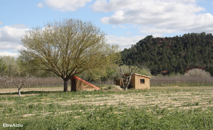 Benissanet | EbreActiu.cat, revista digital d’oci actiu | Terres de l’Ebre ...