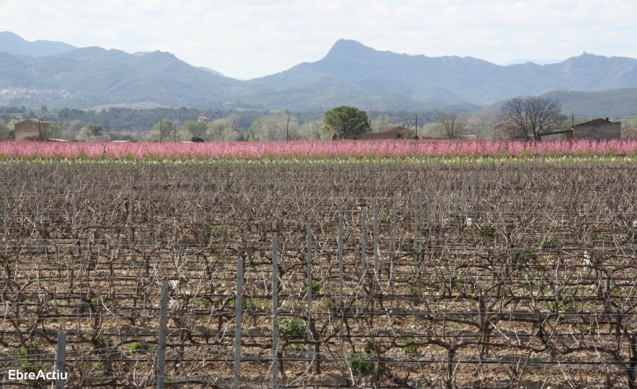 Benissanet | EbreActiu.cat, revista digital d’oci actiu | Terres de l’Ebre ...