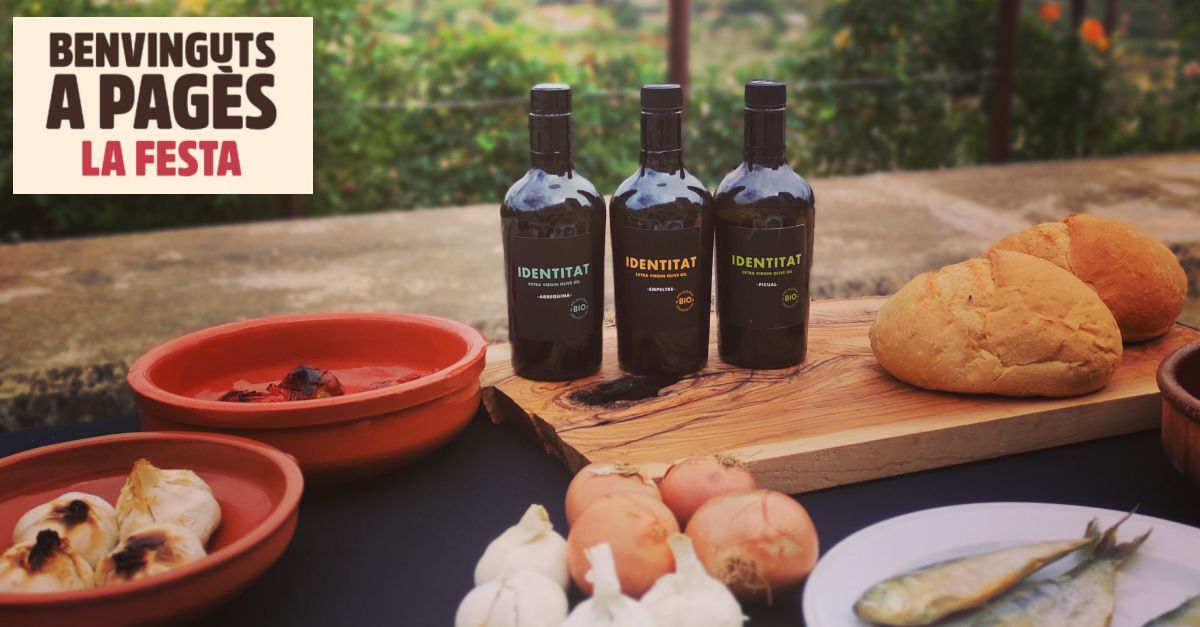 Benvinguts a pags 2024: Identitat Extra Virgin Olive Oil