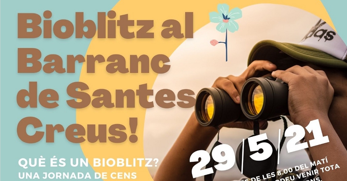 Bioblitz en el barranco de Santes Creus