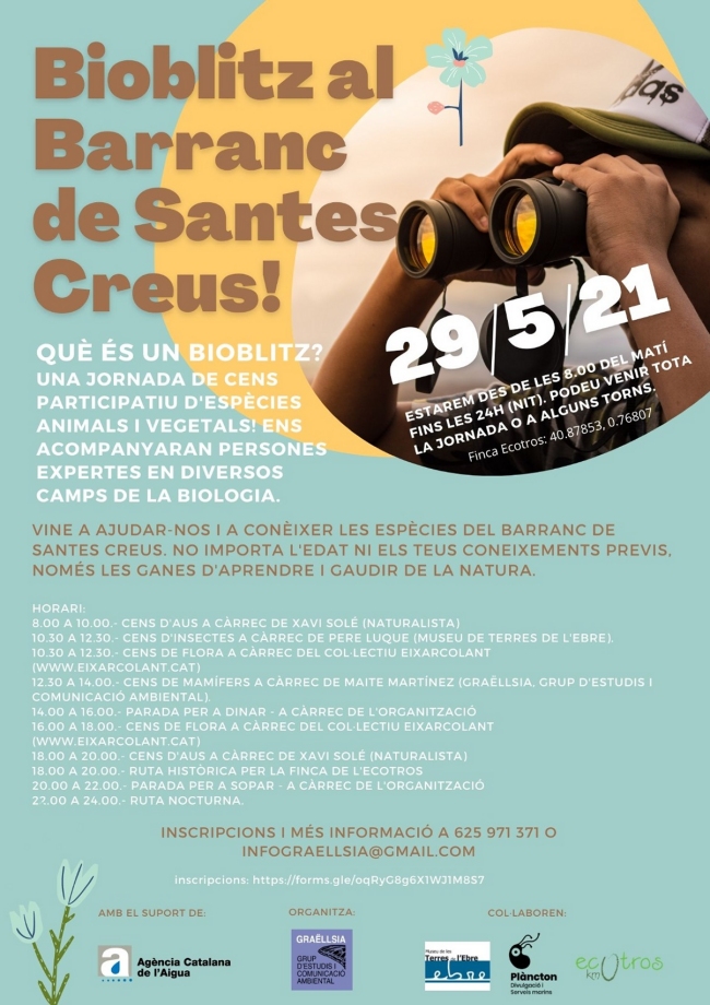 Bioblitz al barranc de Santes Creus