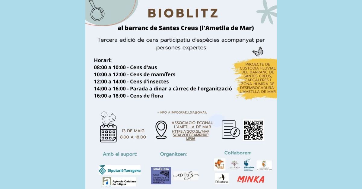 Bioblitz al barranco de Santes Creus