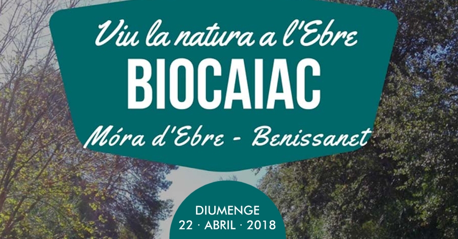 Biocaiac. Baixada interpretativa i dobservaci de la natura en caiac