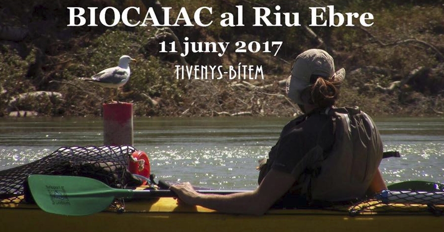 Biocaiac al riu Ebre: Tivenys-Btem