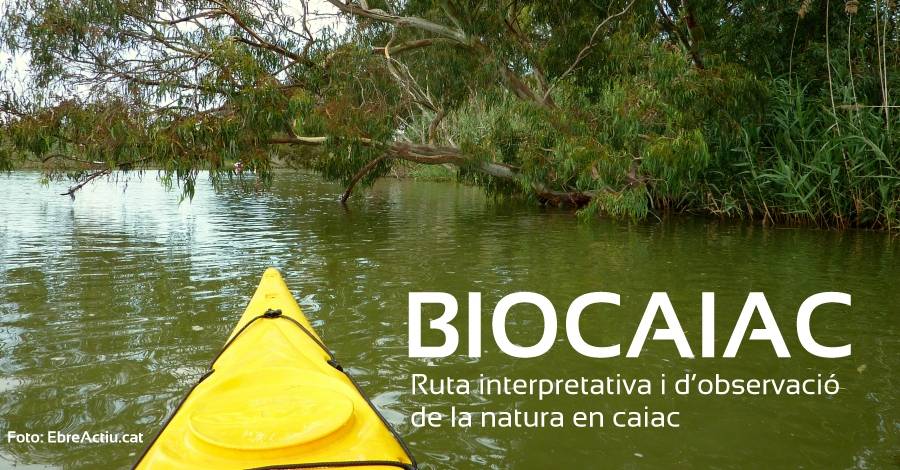 Biocaiac. Baixada interpretativa i dobservaci de la natura en caiac