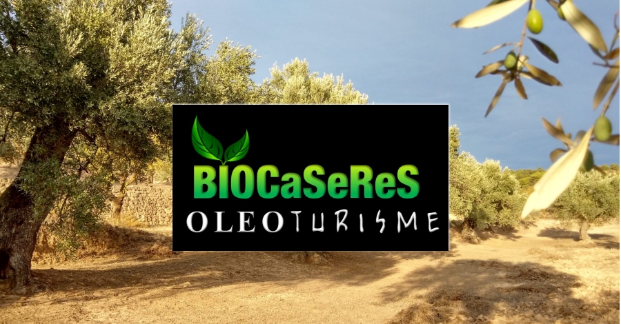 BIOCASERES, productors d’oli d’oliva extra verge ecolgic | EbreActiu.cat, revista digital d’oci actiu | Terres de l’Ebre ...