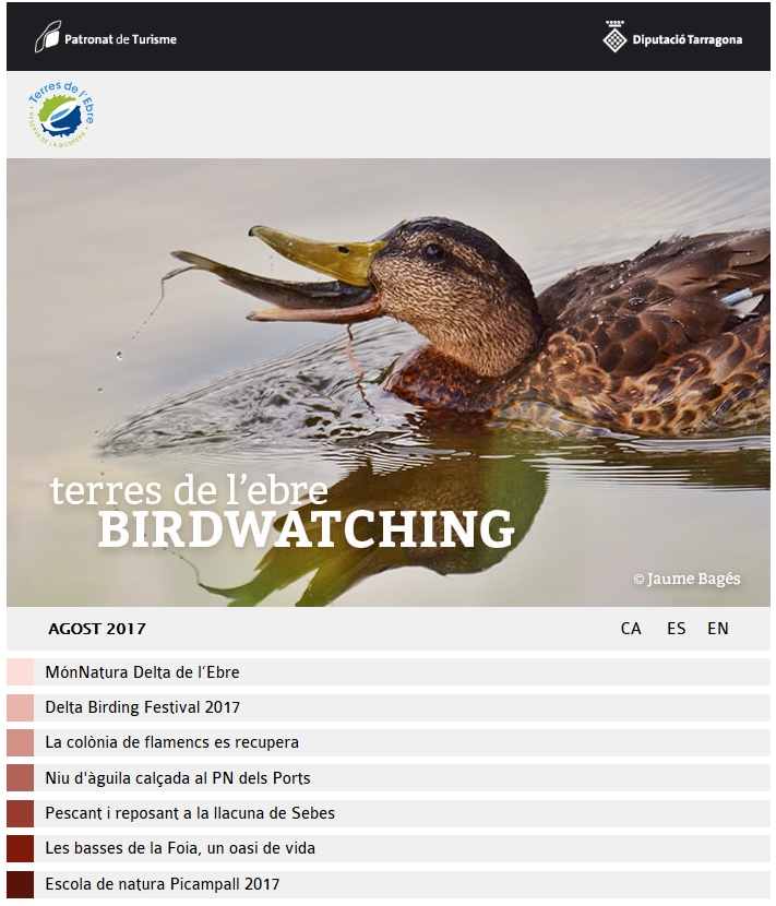 Butllet Birdwatching Terres de l’Ebre - agost 2017 | EbreActiu.cat, revista digital d’oci actiu | Terres de l’Ebre ...