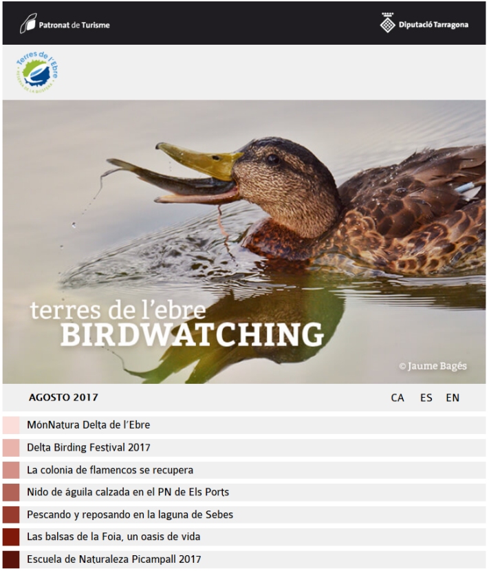 Boletn Birdwatching Terres de l’Ebre - agosto 2017 | EbreActiu.cat, revista digital de ocio activo | Terres de l’Ebre...