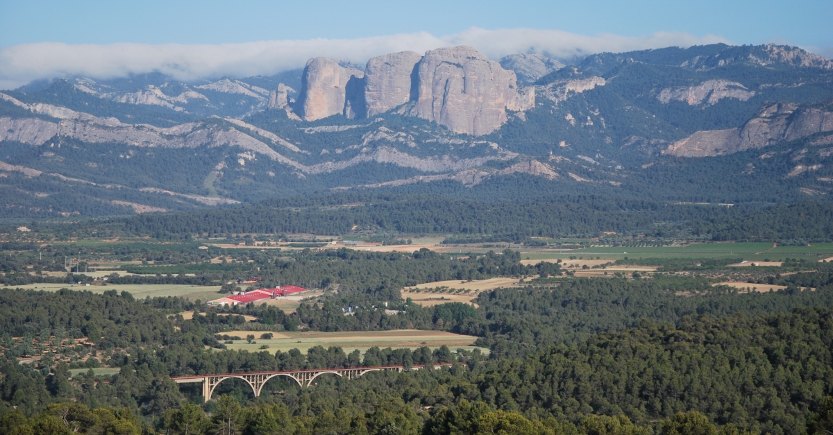 Bodegas Crial | EbreActiu.cat, revista digital d’oci actiu | Terres de l’Ebre ...