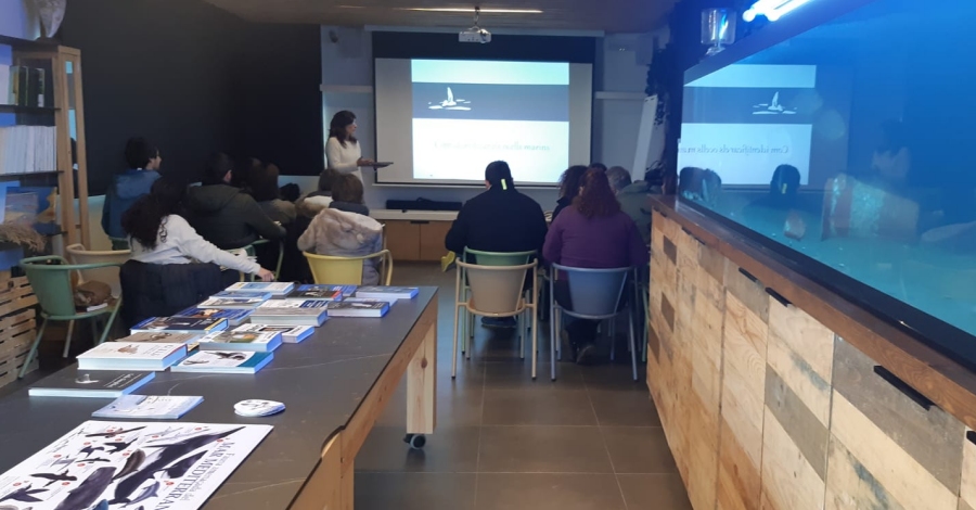 Molt bona acollida al 1er curs d’identificaci d’ocells marins de l’Associaci Pelagicus | EbreActiu.cat, revista digital d’oci actiu | Terres de l’Ebre ...