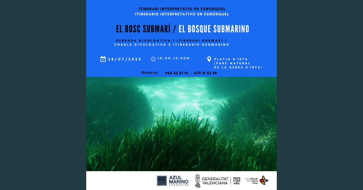 Charla divulgativa e itinerario submarino: El bosque submarino