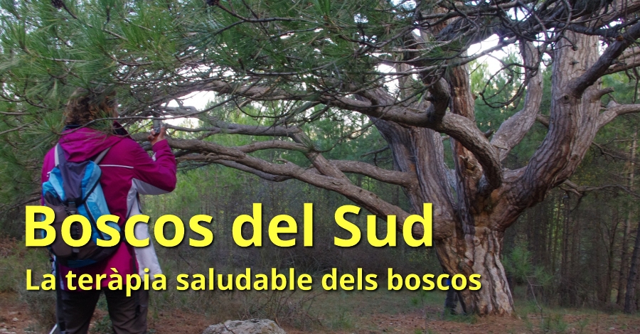 Boscos del Sud (especial Setmana Santa)