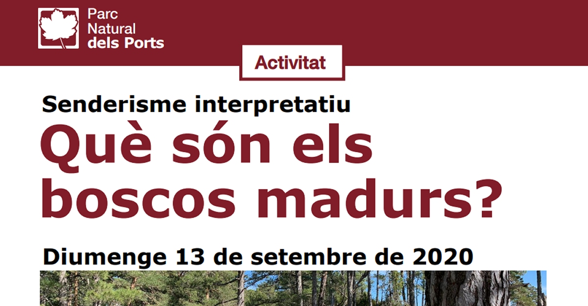 Senderisme interpretatiu: Qu sn els boscos madurs?