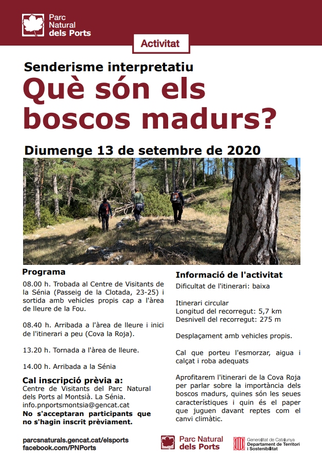 Senderisme interpretatiu: Qu sn els boscos madurs?