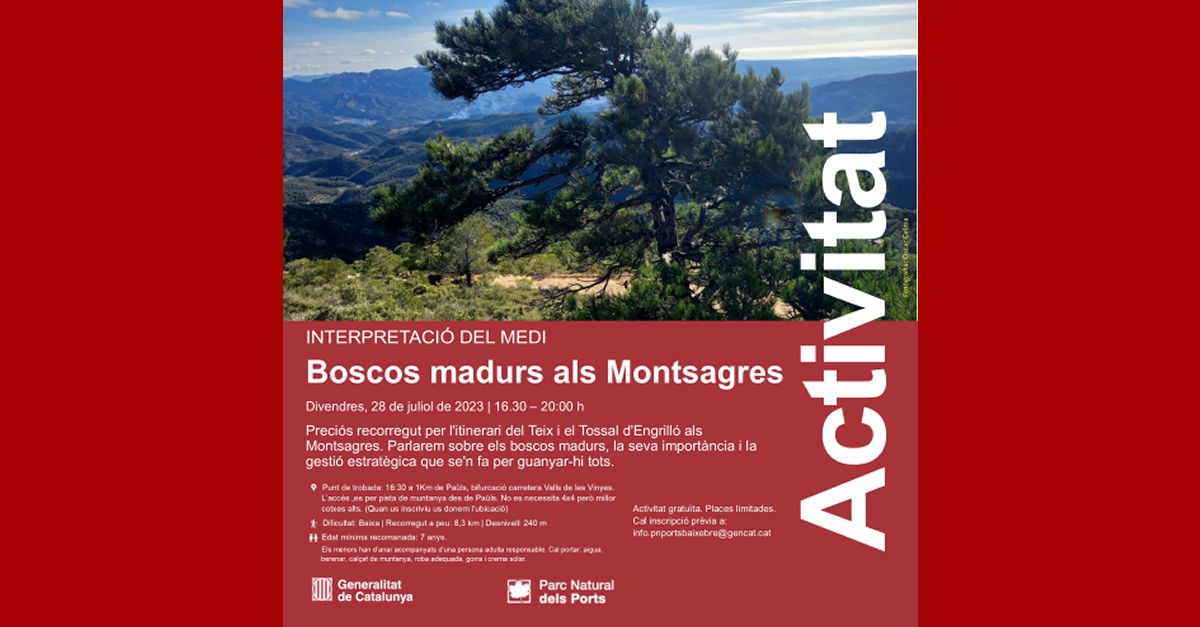 Senderisme interpretatiu: Boscos madurs als Montsagres