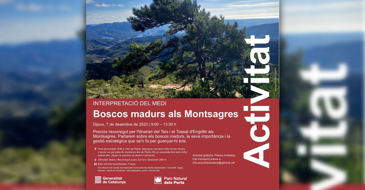 Senderisme interpretatiu: Boscos madurs als Montsagres