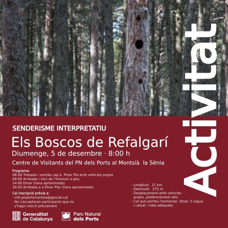 Senderisme interpretatiu: Els boscos de Refalgar