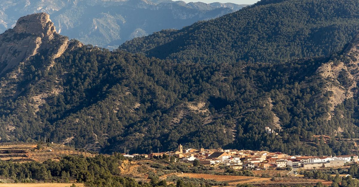 Aquest cap de setmana Bot inaugura el Cicle Estacions al voltant de les arts en viu, el vi, la gastronomia i el mn rural | EbreActiu.cat, revista digital d’oci actiu | Terres de l’Ebre ...