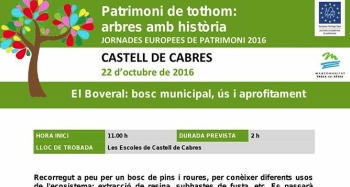 El Boveral: bosc municipal, s i aprofitament