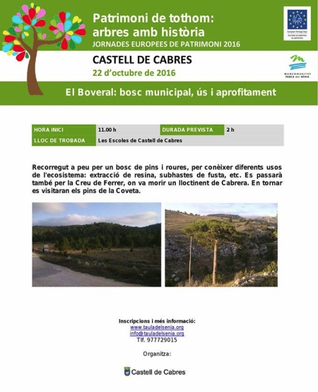 El Boveral: bosc municipal, s i aprofitament