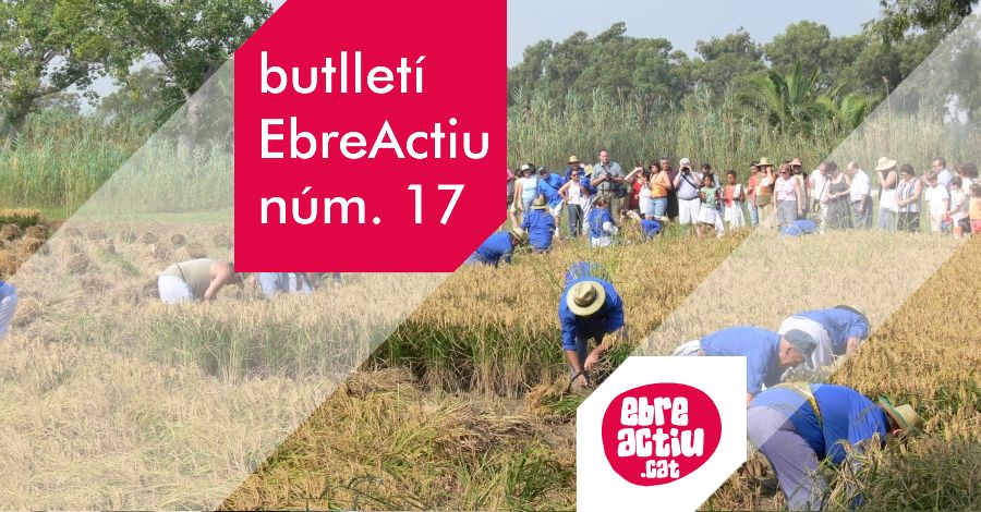 Butllet EbreActiu n.17