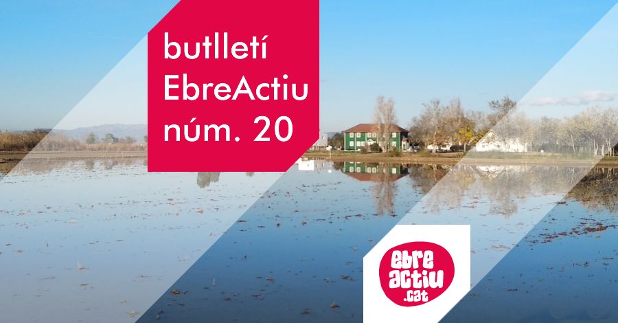 Butllet EbreActiu n.20