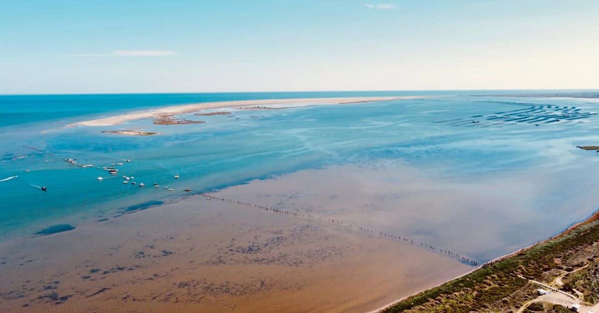 Centenars de persones fan una cadena humana a la badia del Fangar per denunciar la regressi del delta de l’Ebre | EbreActiu.cat, revista digital d’oci actiu | Terres de l’Ebre ...