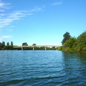 Illes de Grcia i Sapinya en caiac (riu Ebre)