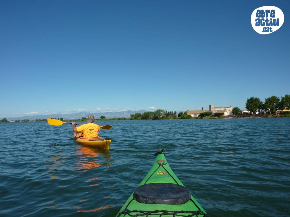 Illes de Grcia i Sapinya en caiac (riu Ebre) | EbreActiu.cat, revista digital d’oci actiu | Terres de l’Ebre ...