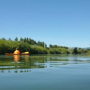 Illes de Grcia i Sapinya en caiac (riu Ebre)